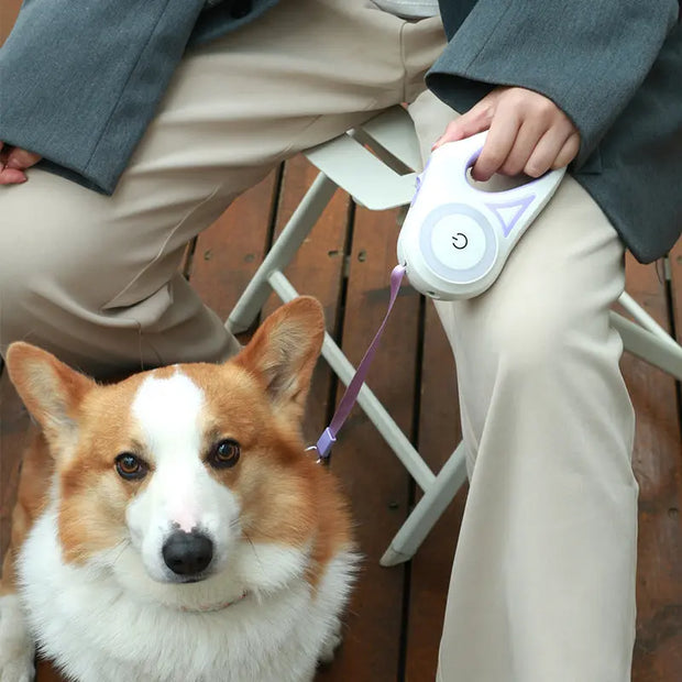 A corgi dog is sitting next to a person holding a white device on a wooden floor.